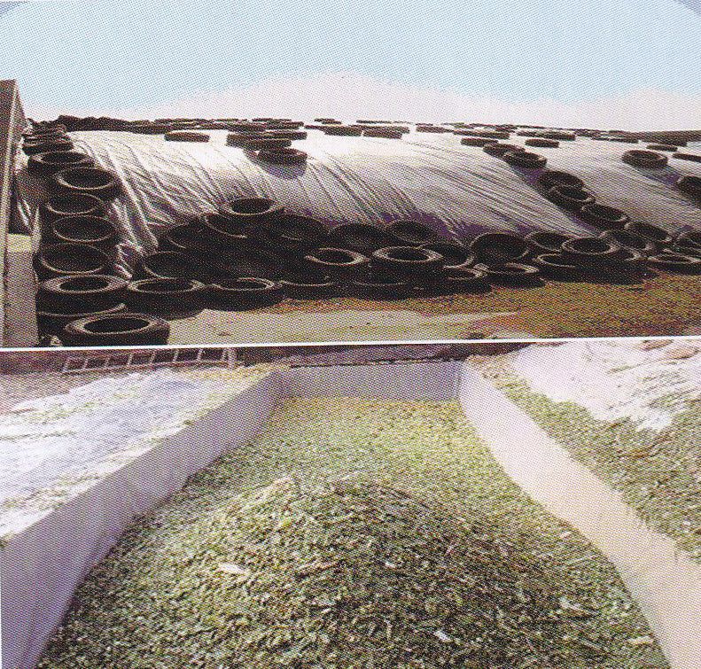 black and white mulch film