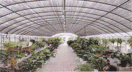 Agricultural Film