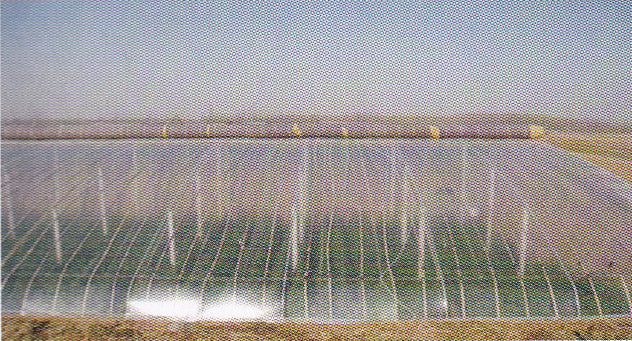 Agricultural Film