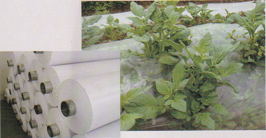 Multi-purpose Greenhouse Film (Melon & Fruit-specific)