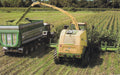 Three-layer Composite Black and White Film (For Silage)