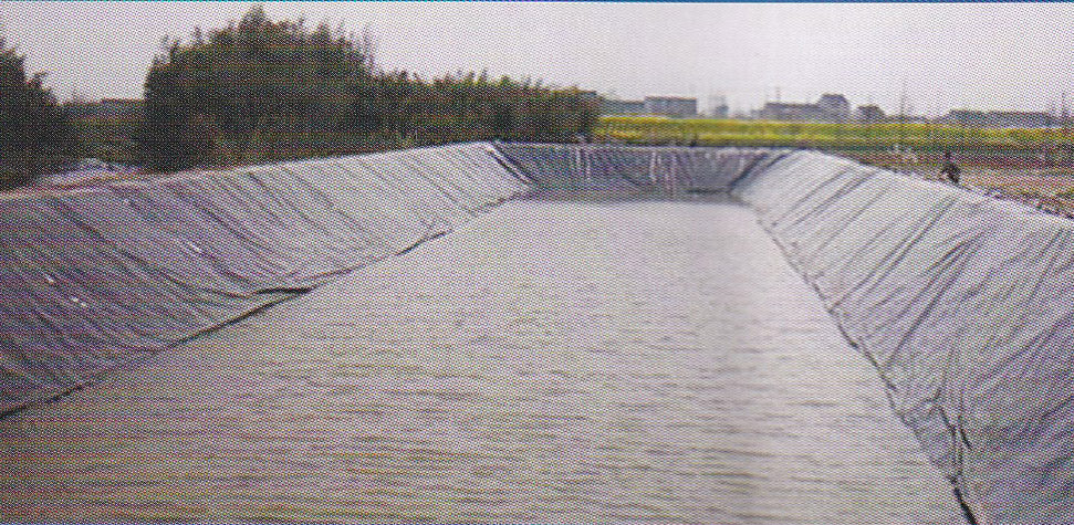 Black and White Dual-color UV-resistant Film