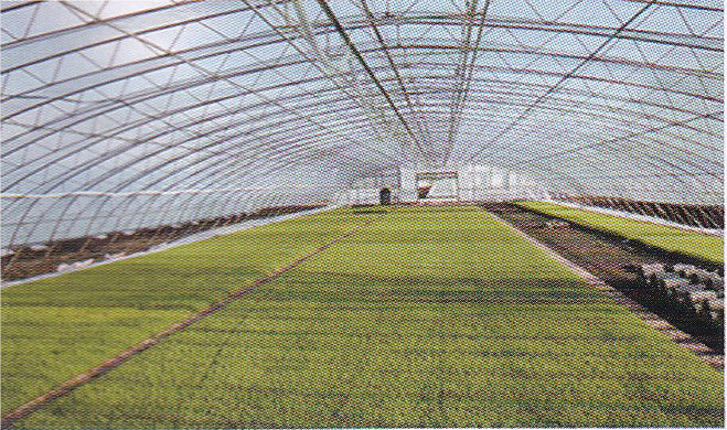 Film for Rice Seedling Raising