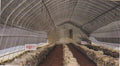 Specialized Greenhouse Film for Mushroom Cultivation