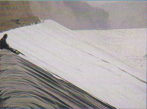 black and white mulch film