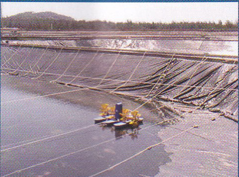 Black and White Dual-color UV-resistant Film