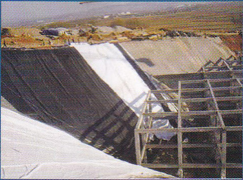 Black and White Dual-color UV-resistant Film